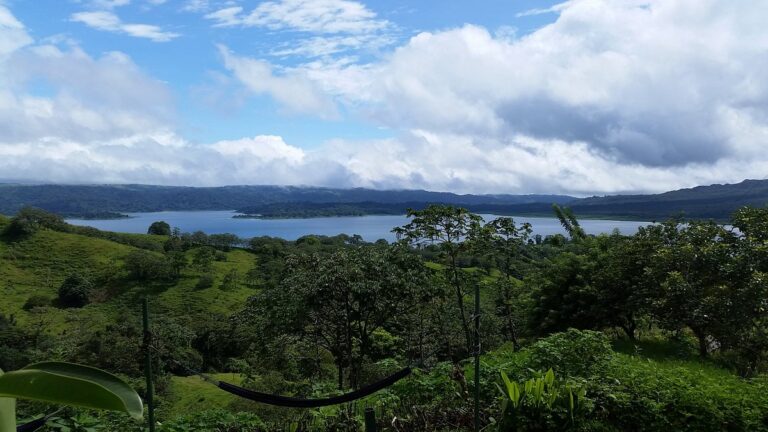 Essence Arenal