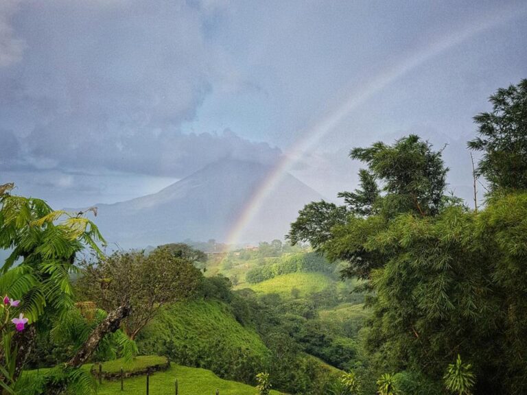Essence Arenal